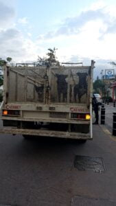 Excepción humana y leyes anticrueldad animal