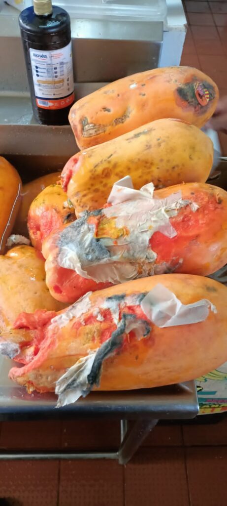 alimentos echados a perder en Caisame