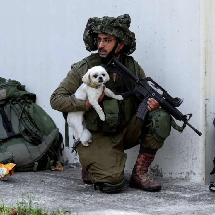desprecio animales guerra Israel Hamas
