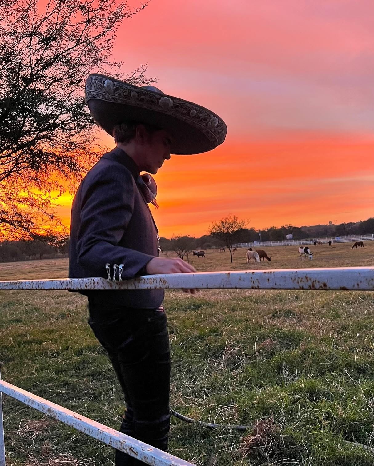 Alejandro Fernández, De Rey a Rey, un homenaje a Vicente Fernández