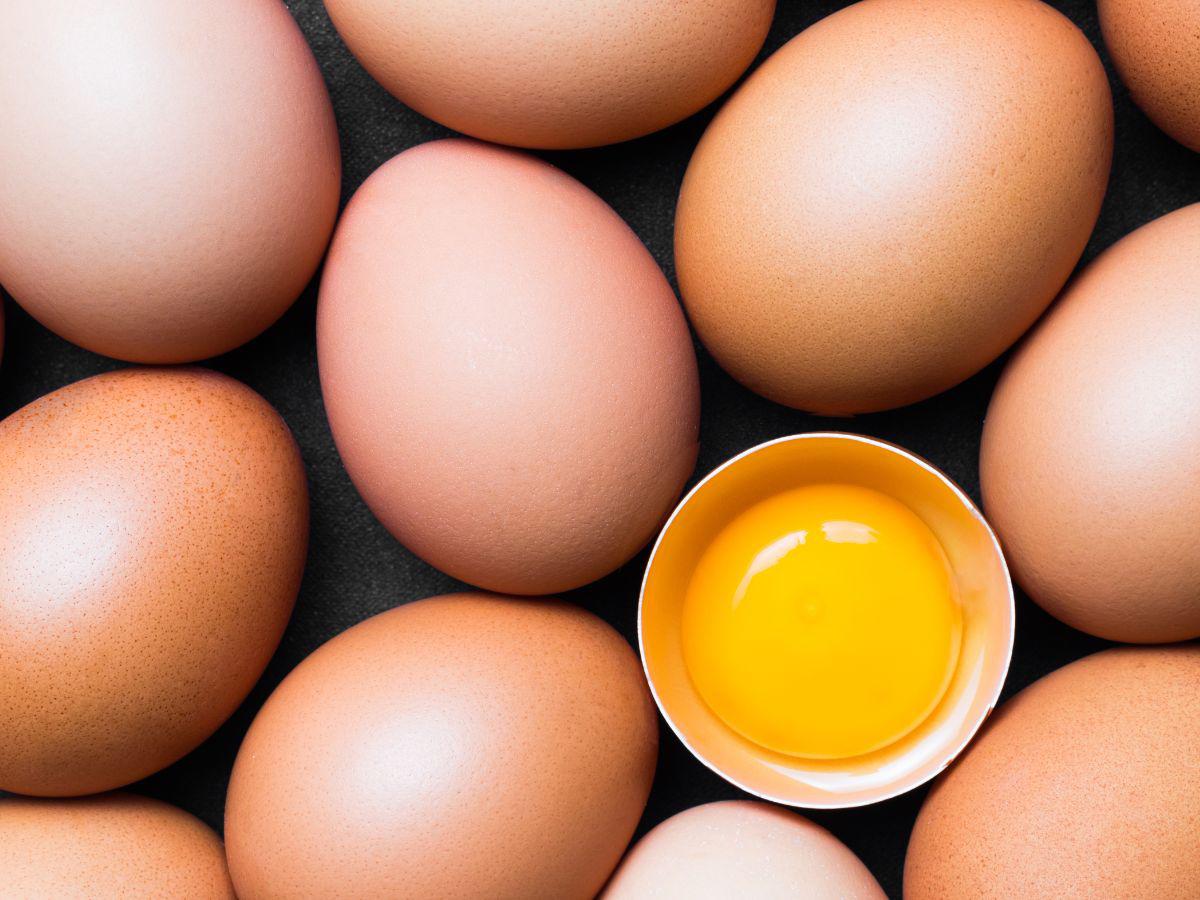 Más Huevos de Gallina que Fentanilo Cruzan la Frontera Norte
