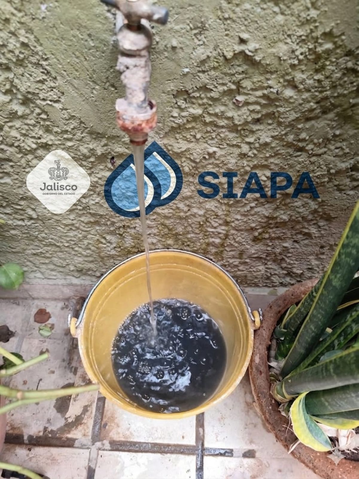 "Por omisiones del SIAPA en el tratado del agua hay riesgo de reacciones químicas peligrosas". Esto es lo que se sabe al respecto